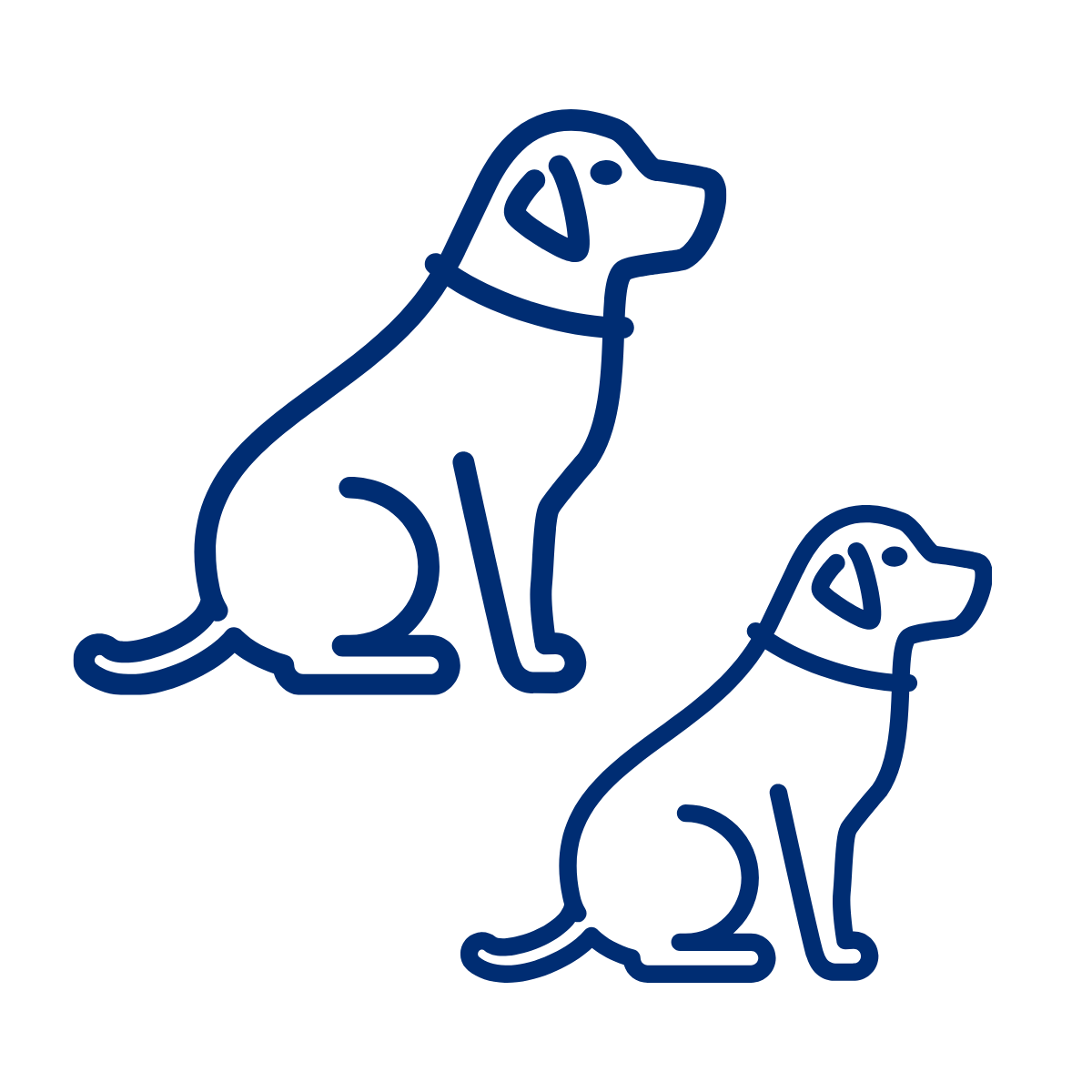 careers_dogs